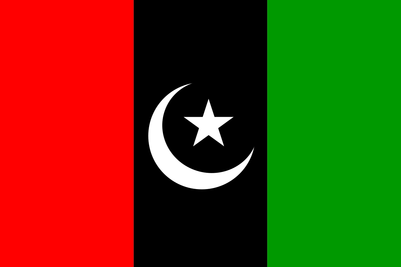 Flag of the PPP