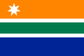 Flag of South African PT