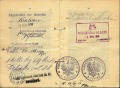1918 Polish consular validation of a passport