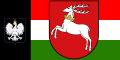 Flag of Lublin Voivodeship